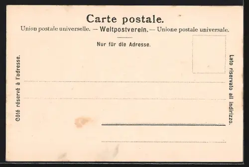 AK Nyon, Vue generale