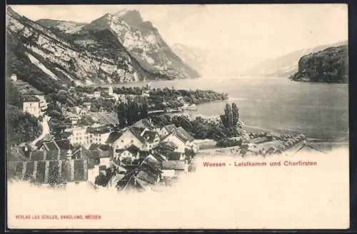 AK Weesen, Teilansicht mit Leistkamm und Churfirsten