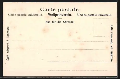 AK Thun, Totalansicht mit Gewässer und Alpen aus der Vogelschau