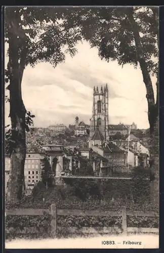 AK Fribourg, Vue générale