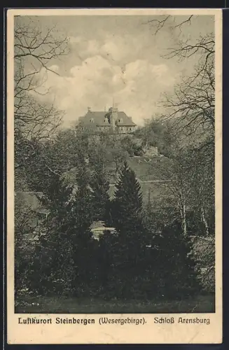 AK Steinbergen /Wesergebirge, Blick auf Schloss Arensburg