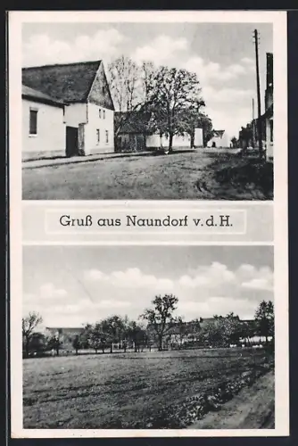 AK Naundorf / Gröbzig, Gasthof Erholung am Strassenrand, Blick über die Wiese