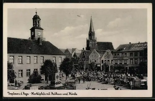 AK Treptow a. d. Rega, Marktplatz mit Rathaus und Kirche