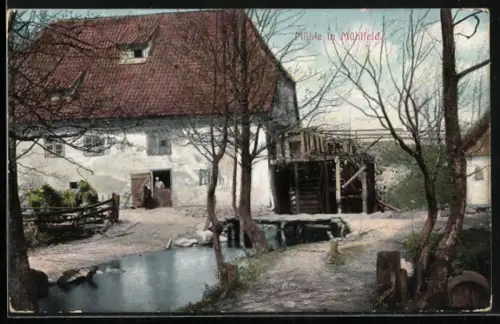 AK Mühlfeld / Mednicken, Blick zur Mühle