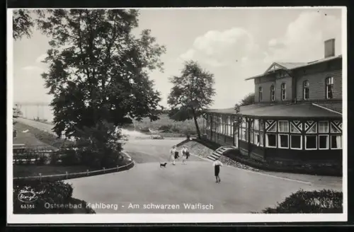 AK Kahlberg, Gasthaus z. schwarten Walfisch