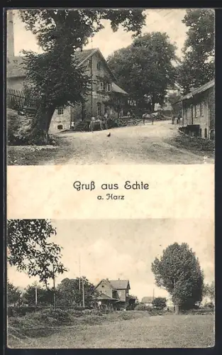 AK Echte a. Harz, Strassenpartie mit Pferdegespann