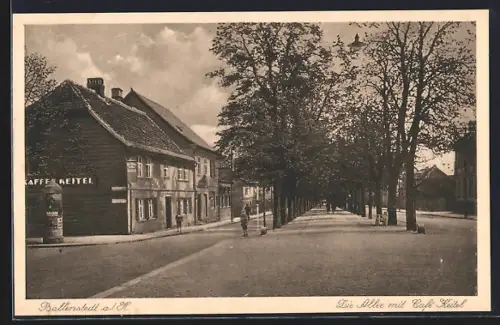 AK Ballenstedt a. H., Café Keitel von Hugo W. Weitz mit Strassenpartie, Allee 51