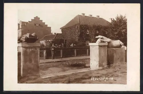 Foto-AK Köln-Mauenheim, Strassenpartie in der Gartenstadt