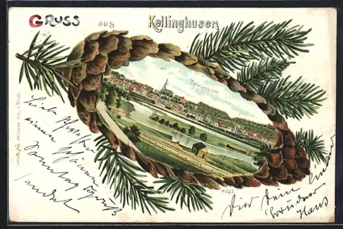 Passepartout-Lithographie Kellinghusen, Totalansicht vom Ort auf Tannenzapfen