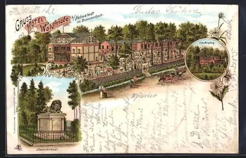 Lithographie Helmstedt, Hôtel Waldfriede im Brunnenthale, Villa Burgberg, Löwendenkmal