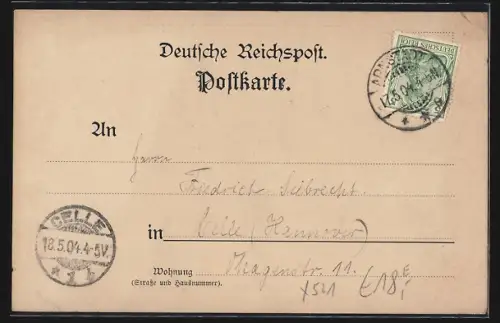 Lithographie Arnstadt, Liebfrauenkirche, Das Ried, Der Markt