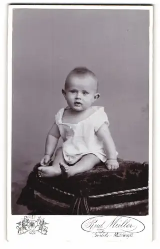 Fotografie Rud. Müller, Görlitz, Mühlweg 10, Porträt eines Kleinkinds