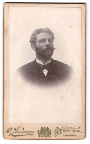 Fotografie O. Anderson, Trossnäs, Arvika, Porträt eines Mannes