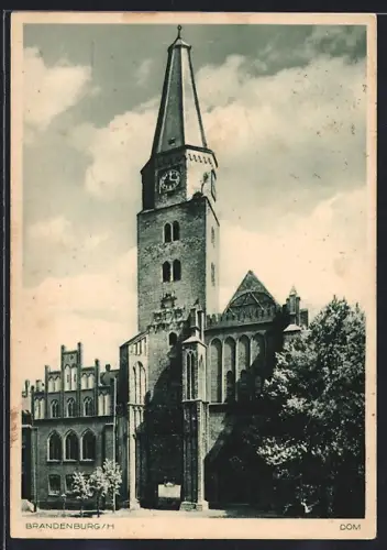 AK Brandenburg /H., Der Dom