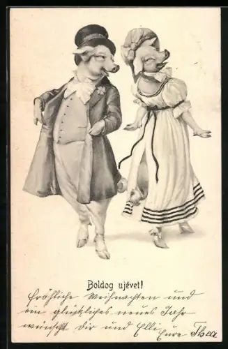 Künstler-AK Zwei Schweine in edler Kleidung