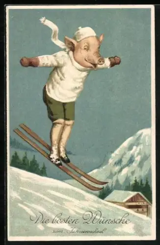 Künstler-AK Schwein in Winterkleidung beim Skifahren