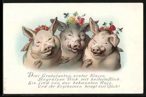 Lithographie Schweinedamen posieren mit Blumenkränzen