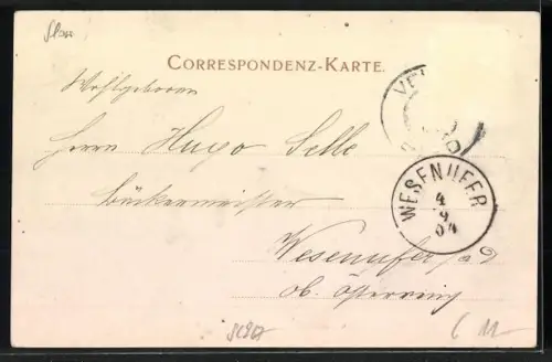 AK Veldes, Ortspanorama mit Ruderbooten