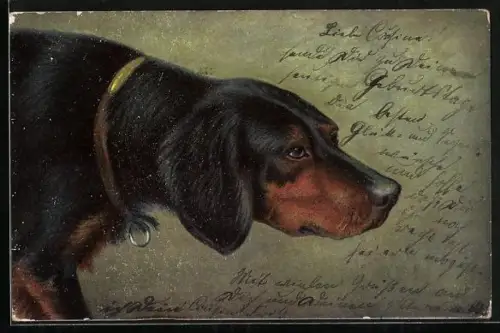 AK Jagdhund schleicht sich an