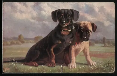 Künstler-AK Dackel mit einem zweiten Hund