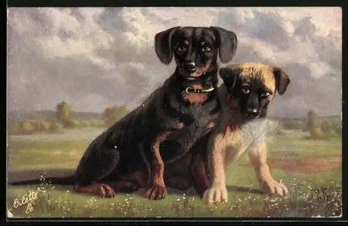 Künstler-AK Dackel mit einem zweiten Hund
