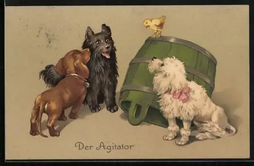 AK Dackel, Terrier und Pudel bestaunen ein Küken