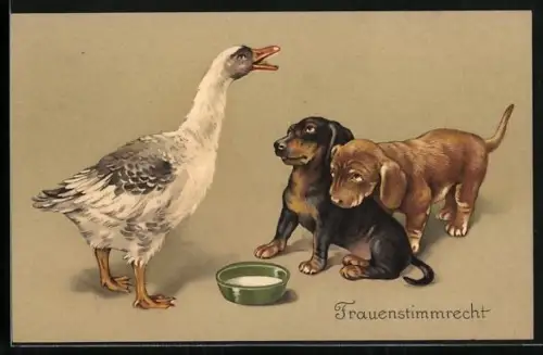 AK Dackel vor einer Wasserschale blicken Gans an, Frauenstimmrecht