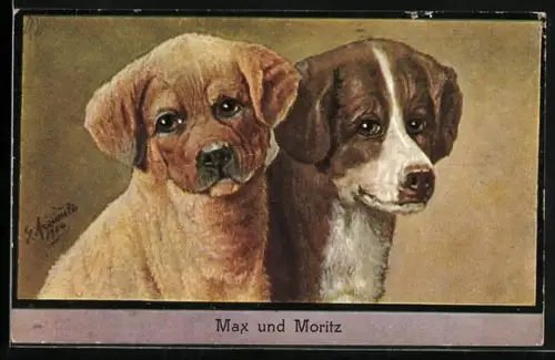 AK Portrait zweier Hundewelpen