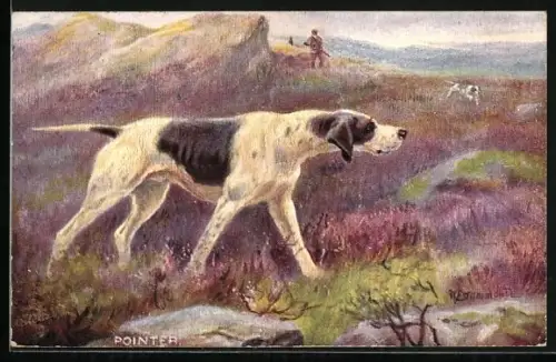 AK Pointer, Jagdhund wittert die Spur