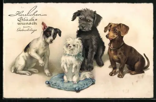 AK Weisser Hund macht auf einem Kissen Männchen, Geburtstagsgruss