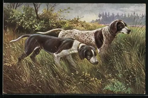 Künstler-AK Alfred Schönian: zwei hübsche Jagdhunde im hohen Gras
