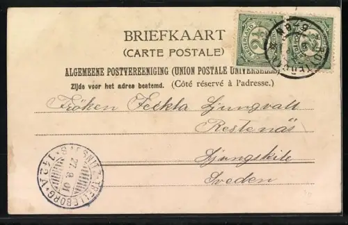 AK Rotterdam, Steiger en open Rijsttuin