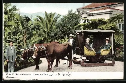 AK Madeira, Carro de Bois