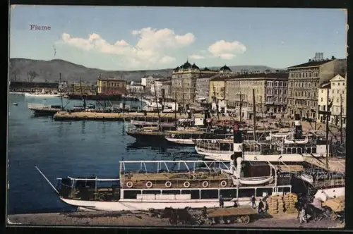 AK Fiume, Panorama