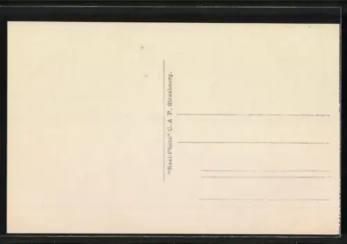 AK Monte-Carlo, Les Terrasses, Paquebot en Rade