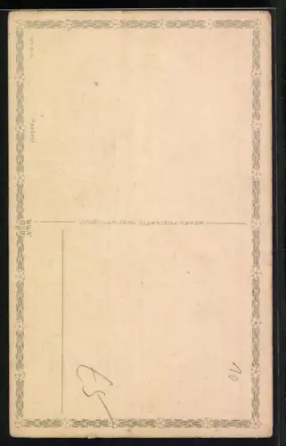 AK Kopf eines Bernhardiners