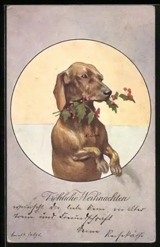 AK Dackel mit einem Zweig Weihnachtsbeeren im Maul