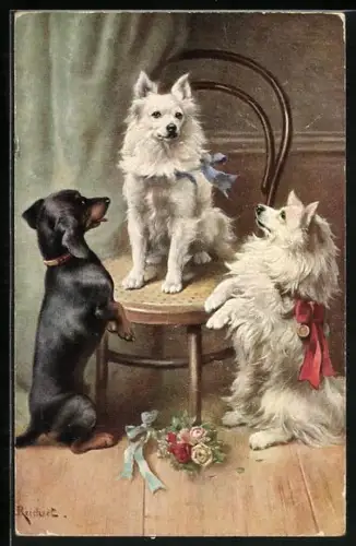 Künstler-AK Carl Reichert: Dackel und zwei Spitze