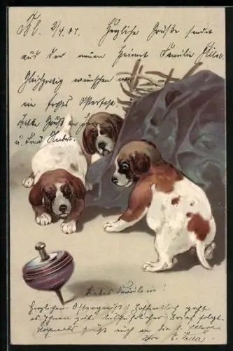 Lithographie Drei Jagdhund-Welpen spielen mit einem Kreisel