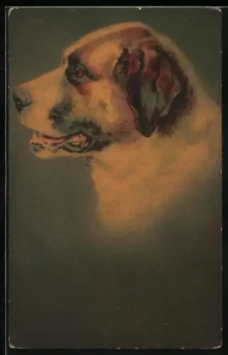 Lithographie eines Bernhardiner im Profil