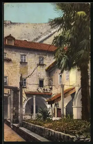 AK Dubrovnik, Mala Braca, Palme im Hof