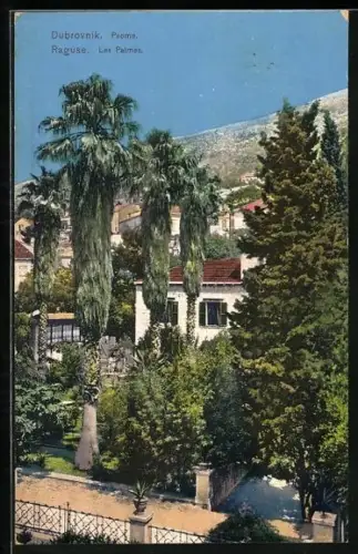 AK Dubrovnik-Ragusa, Palmes, Ortspartie