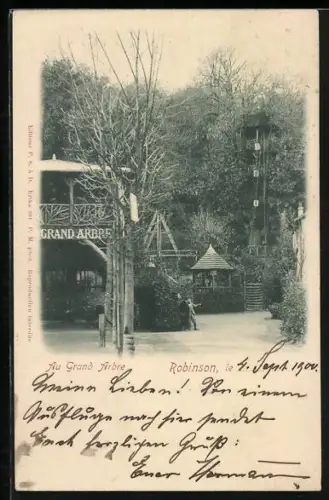 AK Robinson, Partie am Grossen Baum