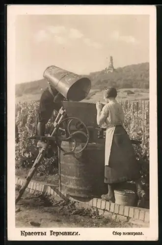 AK Weinernte mit Blick zum Denkmal