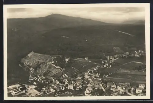 AK Haardt b. Neustadt, Panorama, Weinberge, Haardter Schloss