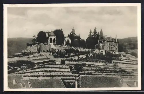 AK Haardt b. Neustadt, Haardter Schlösschen, Weinberge