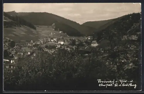AK Steinach in Thür., Oberstadt, Blick vom Blocksberg
