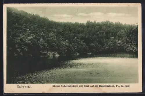 AK Ballenstedt, Kleiner Siebersteinsteich, Blick auf die Hubertushöhe