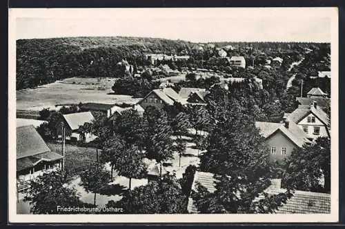 AK Friedrichsbrunn /Ostharz, Ortsansicht mit Wald und Wohnhäusern