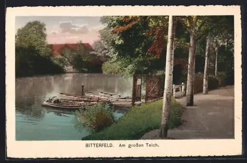 AK Bitterfeld, Am grossen Teich